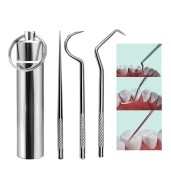 Stainless Steel Toothpick (3 Pcs Set)