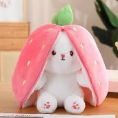 https://www.dagdoom.com.bd/Strawberry Carrot Soft Fruit Toy     